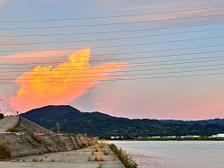 紀ノ川