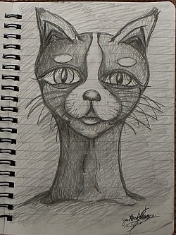 キャットレディ